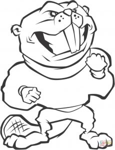 230x300 Funny Beavers Coloring Pages