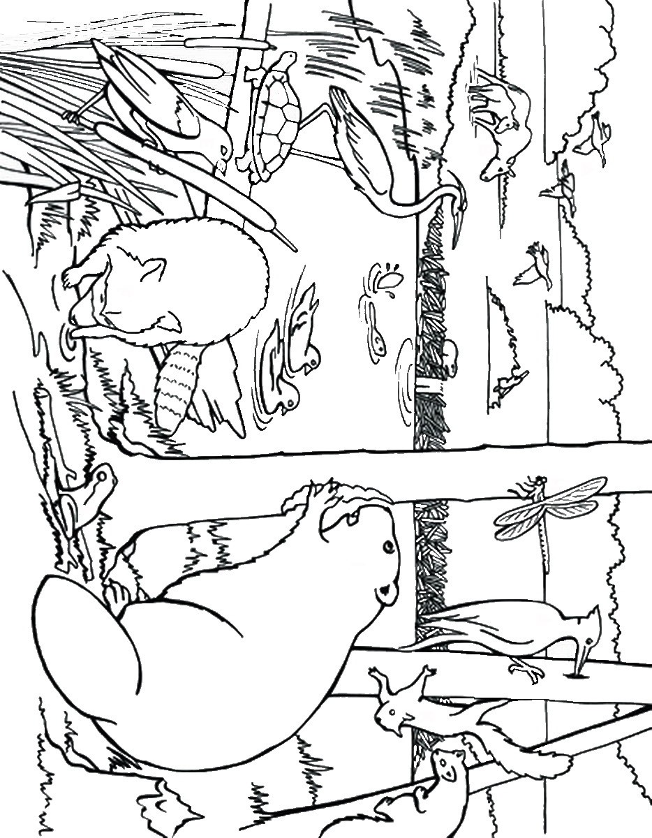 934x1200 Awesome Beavers Coloring Pages Design Printable Coloring Sheet
