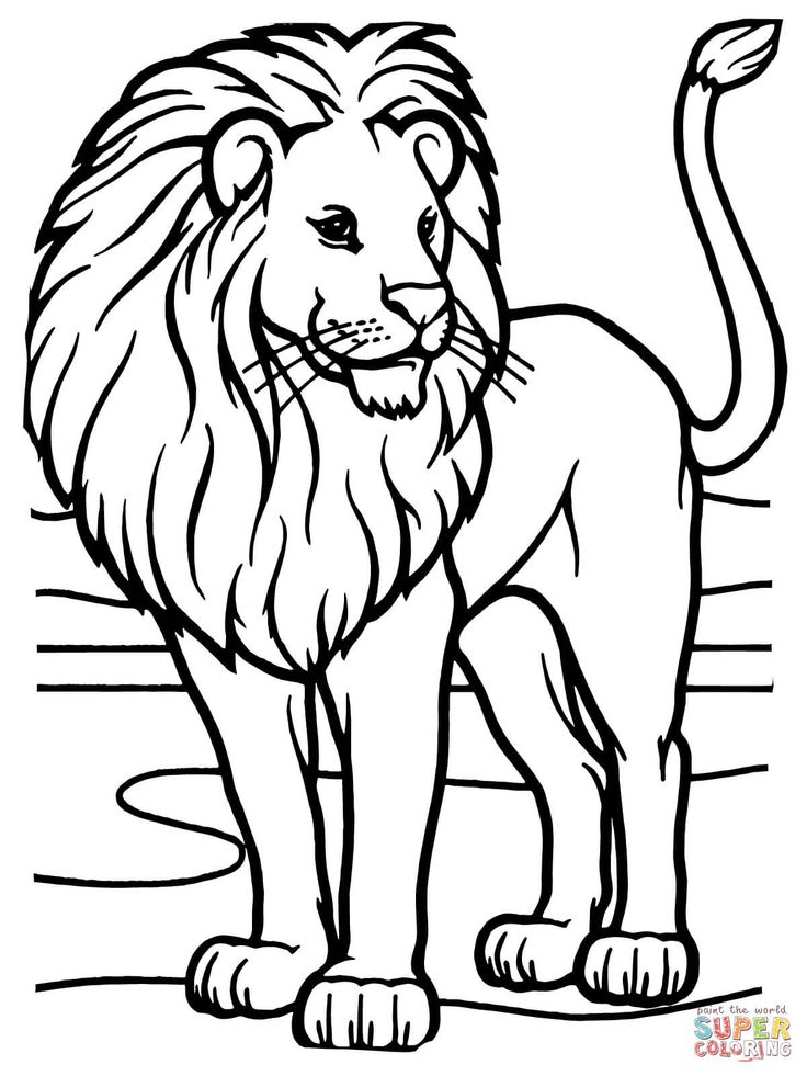 Because Of Winn Dixie Coloring Pages