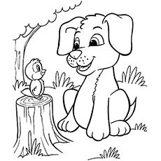 230x230 Because Of Winn Dixie Great Links! Use This!!! Webquests, Lesson