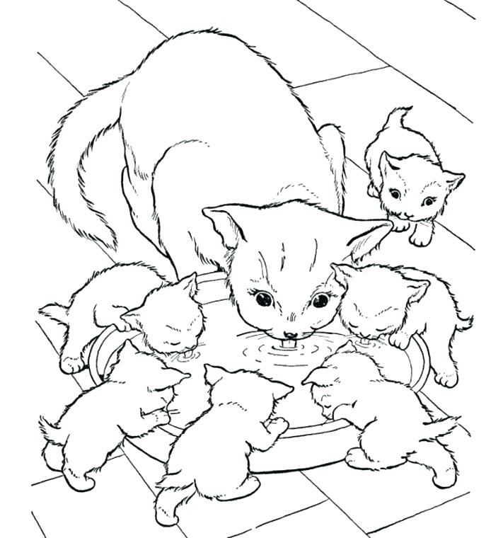 711x760 Because Of Winn Dixie Coloring Pages Because Of Winn Dixie