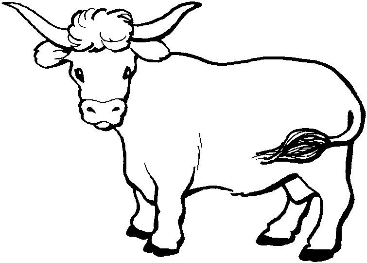 Beef Coloring Pages