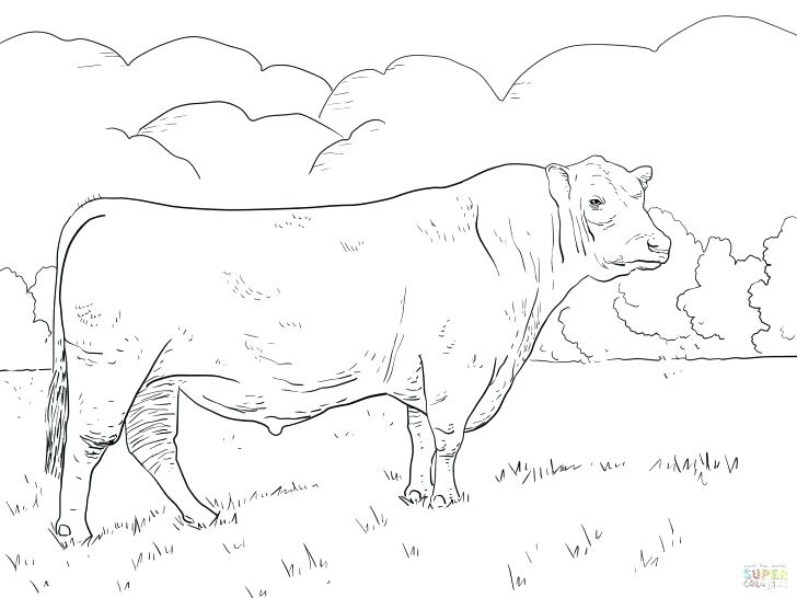 728x546 Coloring Pages Online Flowers Cattle Truck Page In Beef