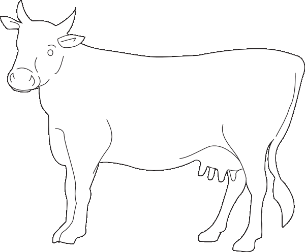 600x496 Cow Coloring Pages