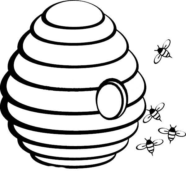 600x572 Beehive Coloring Page Funky Beehive Coloring Page Sketch Coloring