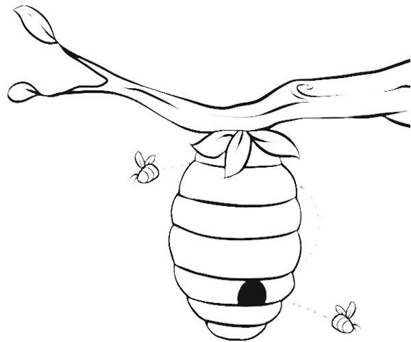 600x500 Bee Beehive Coloring Page Ha Beehive, Bees