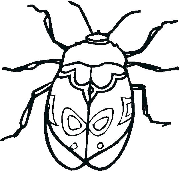 630x600 Bug Coloring Page Bug Coloring Page Insect Coloring Page Free