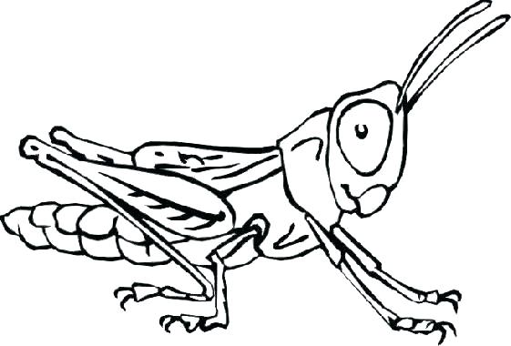 561x380 Bugs Coloring Page Bug Coloring Sheets Bugs Coloring Page Bugs