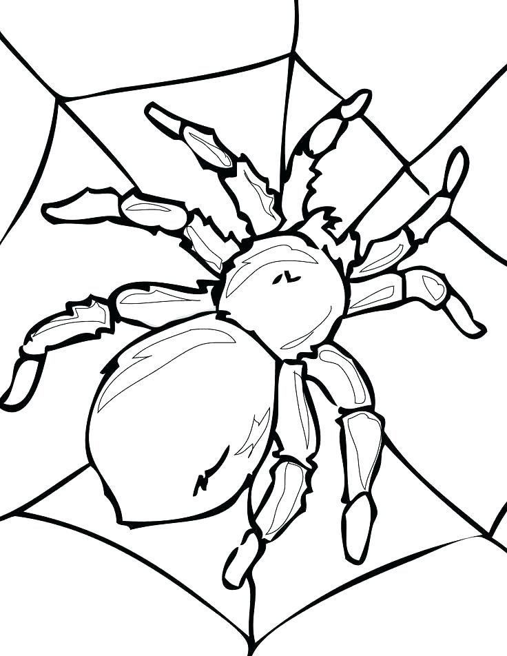 736x952 Coloring Insects Coloring Page Coloring Pages Insects Colouring