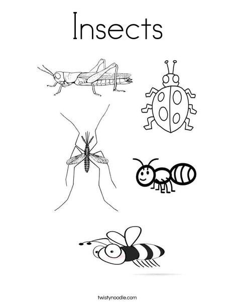 468x605 Insects Coloring Page