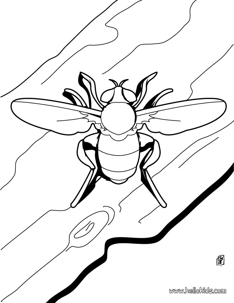 820x1060 Stag Beetle Coloring Pages