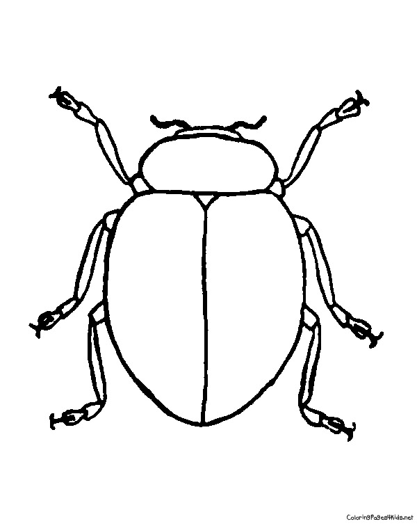 600x756 Beetle Coloring Pages