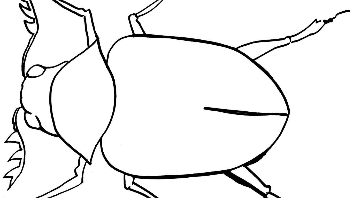 1366x768 Dragonfly Insect Coloring Pages Beetle Free Beetlejuice Lady Blue