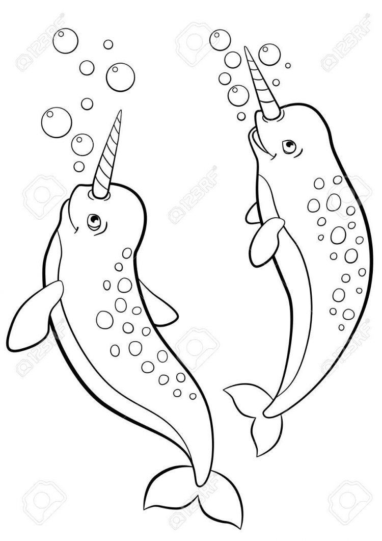 Beluga Whale Coloring Page