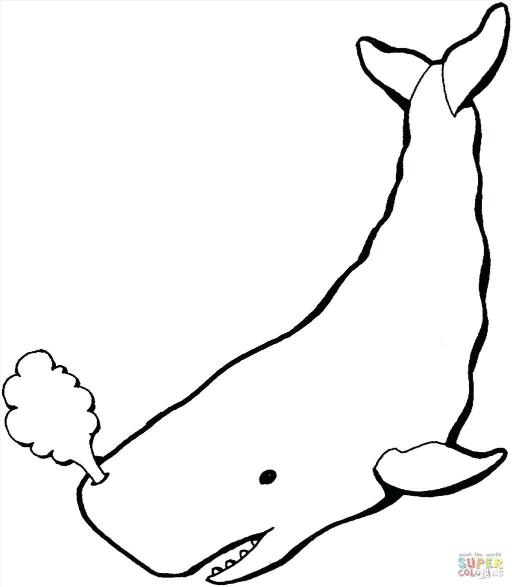 1024x1173 Perfect Blue Whale Coloring Pages Printable Adornment