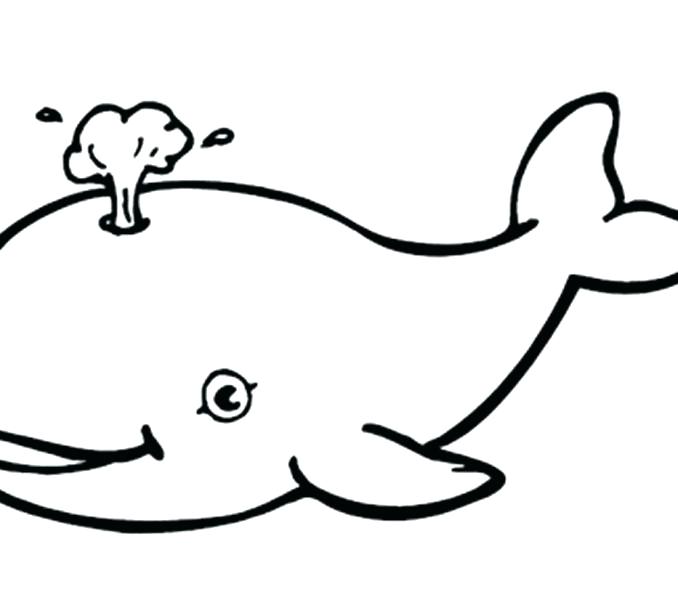 678x600 Whale Color Page Cartoon Beluga Whale Free Printable Jonah Whale