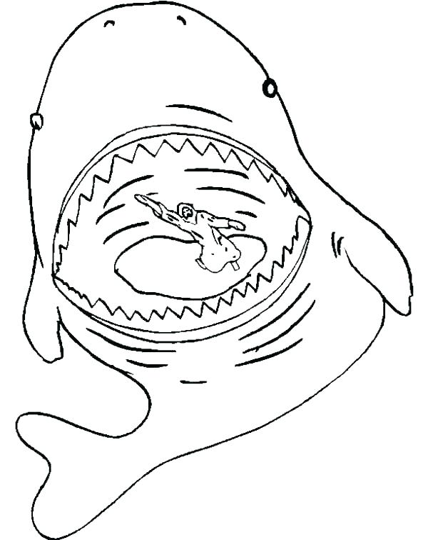 600x756 Whale Color Page Cartoon Beluga Whale Free Printable Whale Free