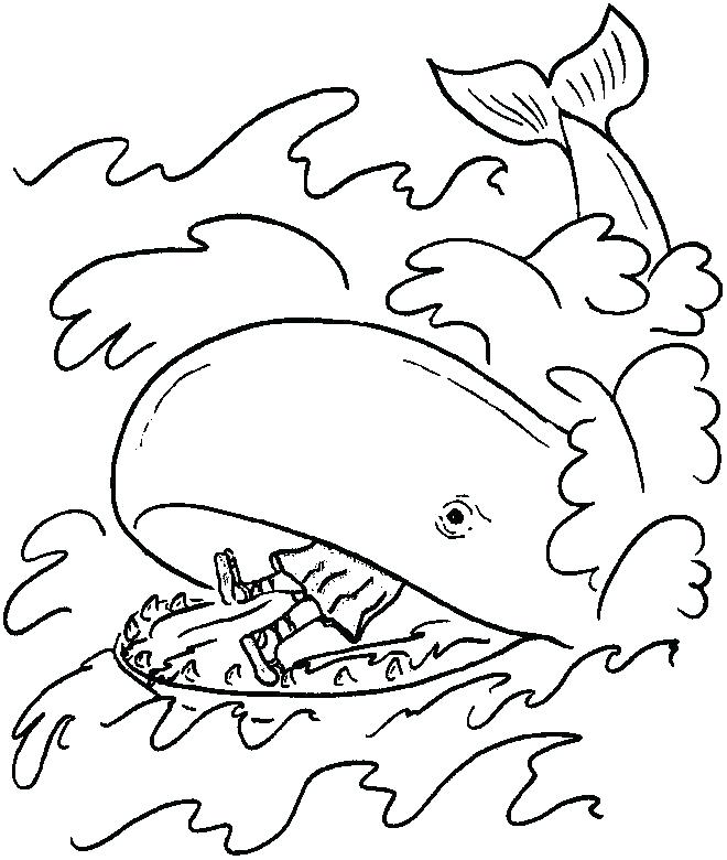 660x780 Whale Coloring Page Killer Whale Coloring Pages With Whale