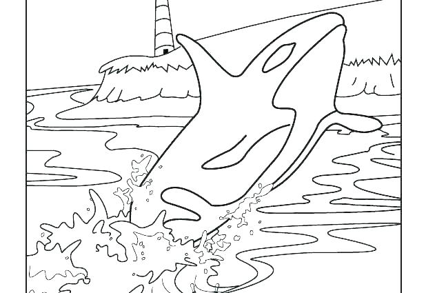 618x425 Whales Coloring Pages Whale Coloring Pages Killer Whale Coloring