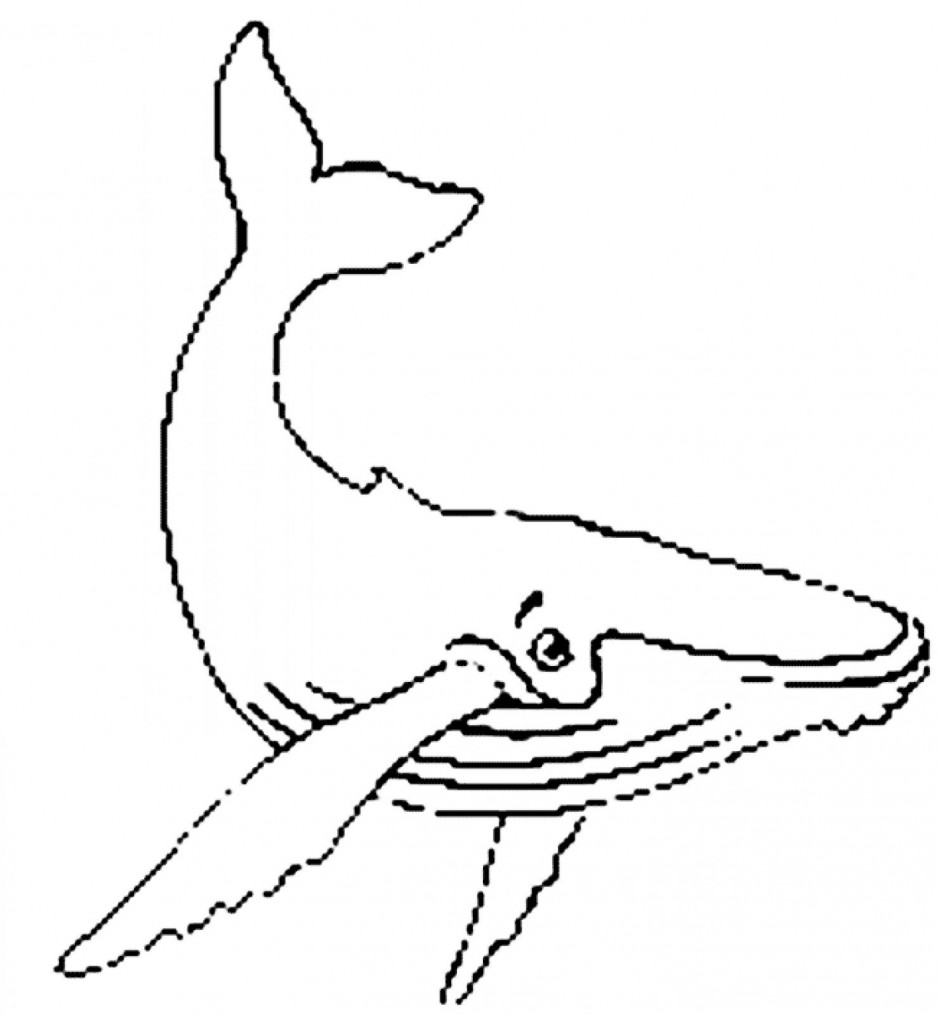 940x1015 Beluga Whale Clipart Black And White