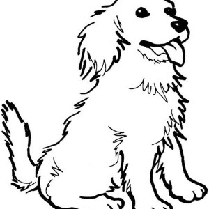 300x300 Free Printable Coloring Pages