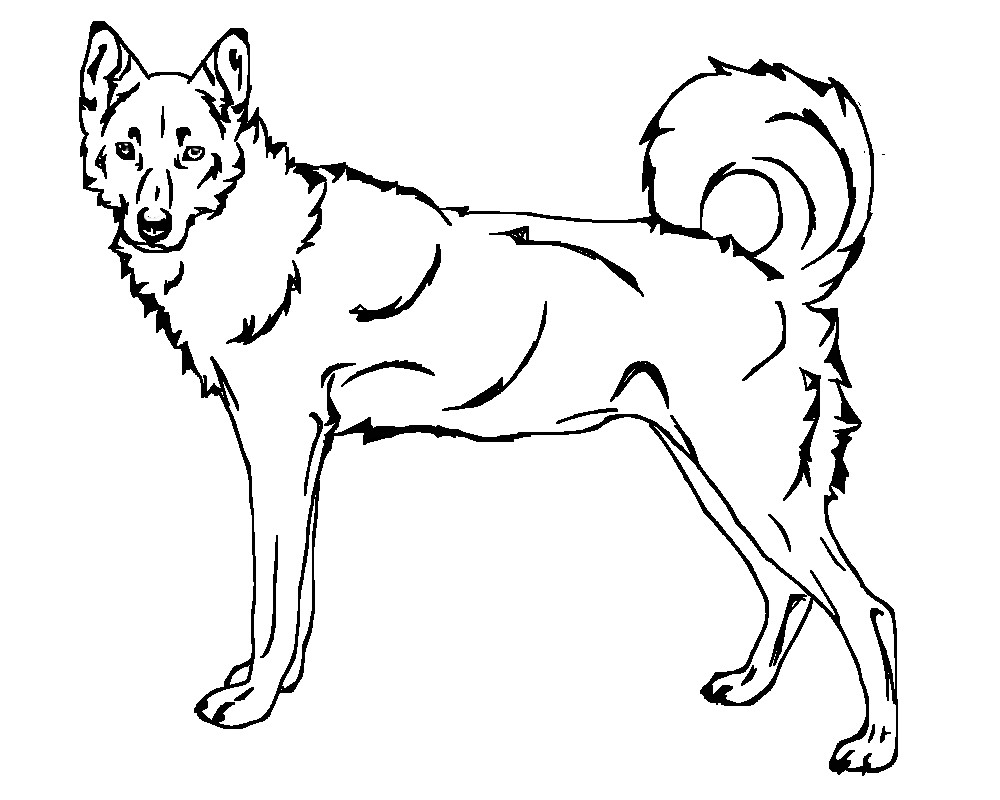 1000x800 Siberian Husky Dog Coloring Page How To Draw Squirt From Finding