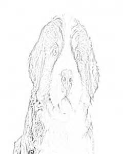 240x300 Children Coloring Pages, Coloring Pages And Bernese Mountain Dogs