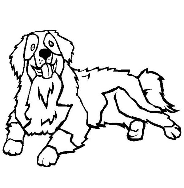600x612 Bernese Mountain Dog Coloring Page Color Luna