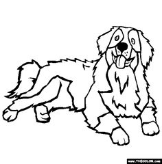 236x240 Bernese Mountain Dog Coloring Page Free Bernese Mountain Dog