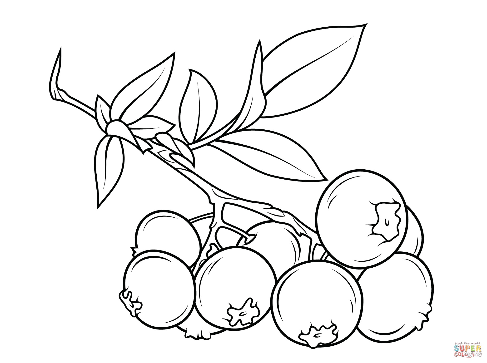 2046x1526 Grapes With Leaves Fruits And Berries Coloring Pages For Kids