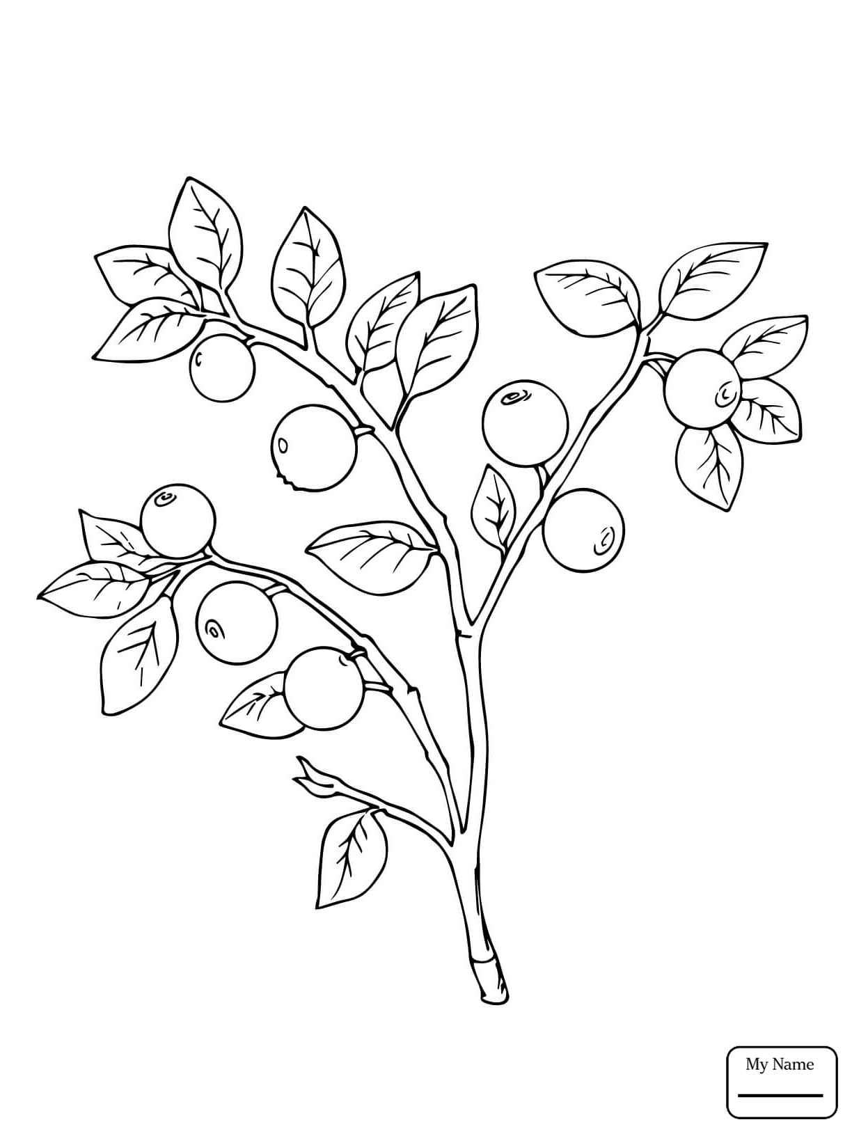 1224x1632 Unique Berries Coloring Pages Gallery Printable Coloring Sheet
