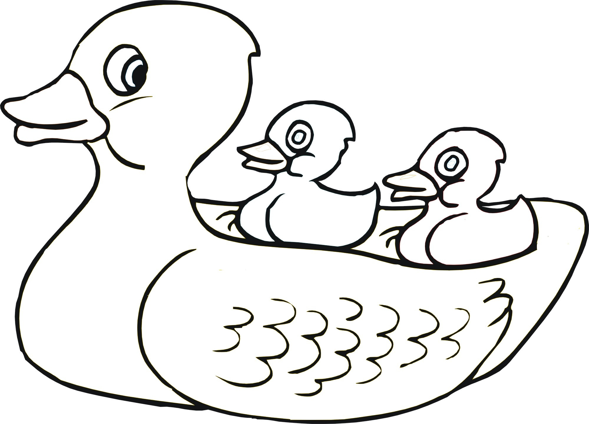 2000x1440 Highest Rubber Ducky Coloring Page Duck Outline Drawing Bert Ernie