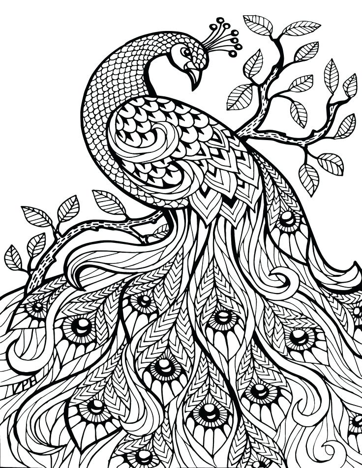 736x952 Free Adult Coloring Pages Breathe Adult Anti Stress 3 Coloring
