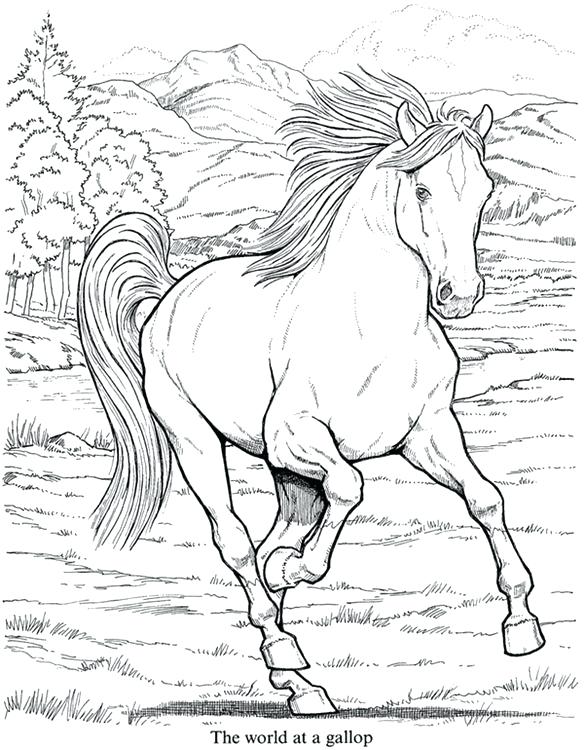 584x750 Fun Coloring Pages For Older Kids Printable Coloring Pages Best