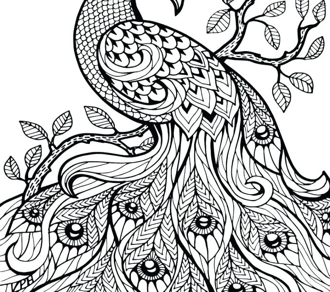 678x600 Free Coloring Printable Pages Shippa.co
