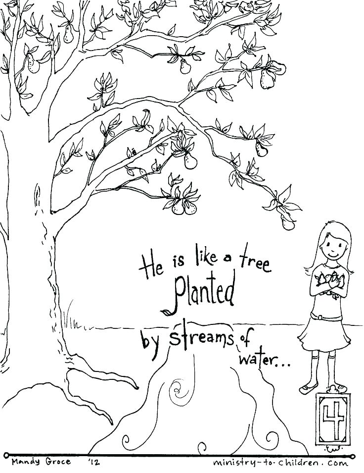 736x955 Kids Bible Coloring Pages Inspirational Free Bible Coloring Pages
