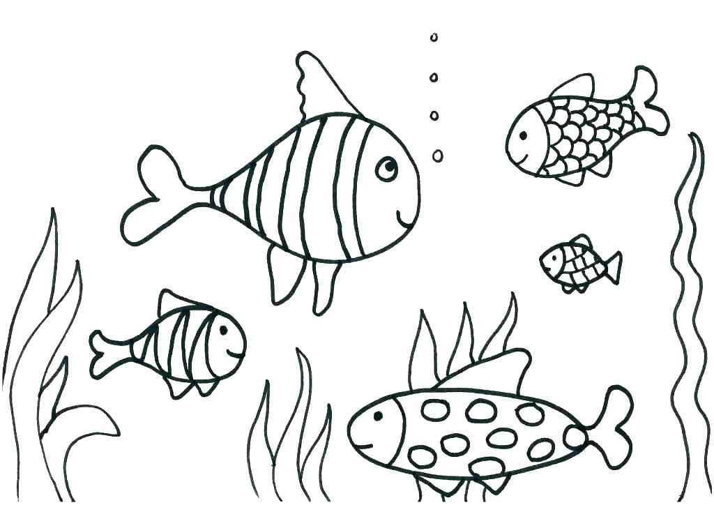 1024x724 Betta Fish Coloring Pages H Printable Coloring Pages Puffer Page