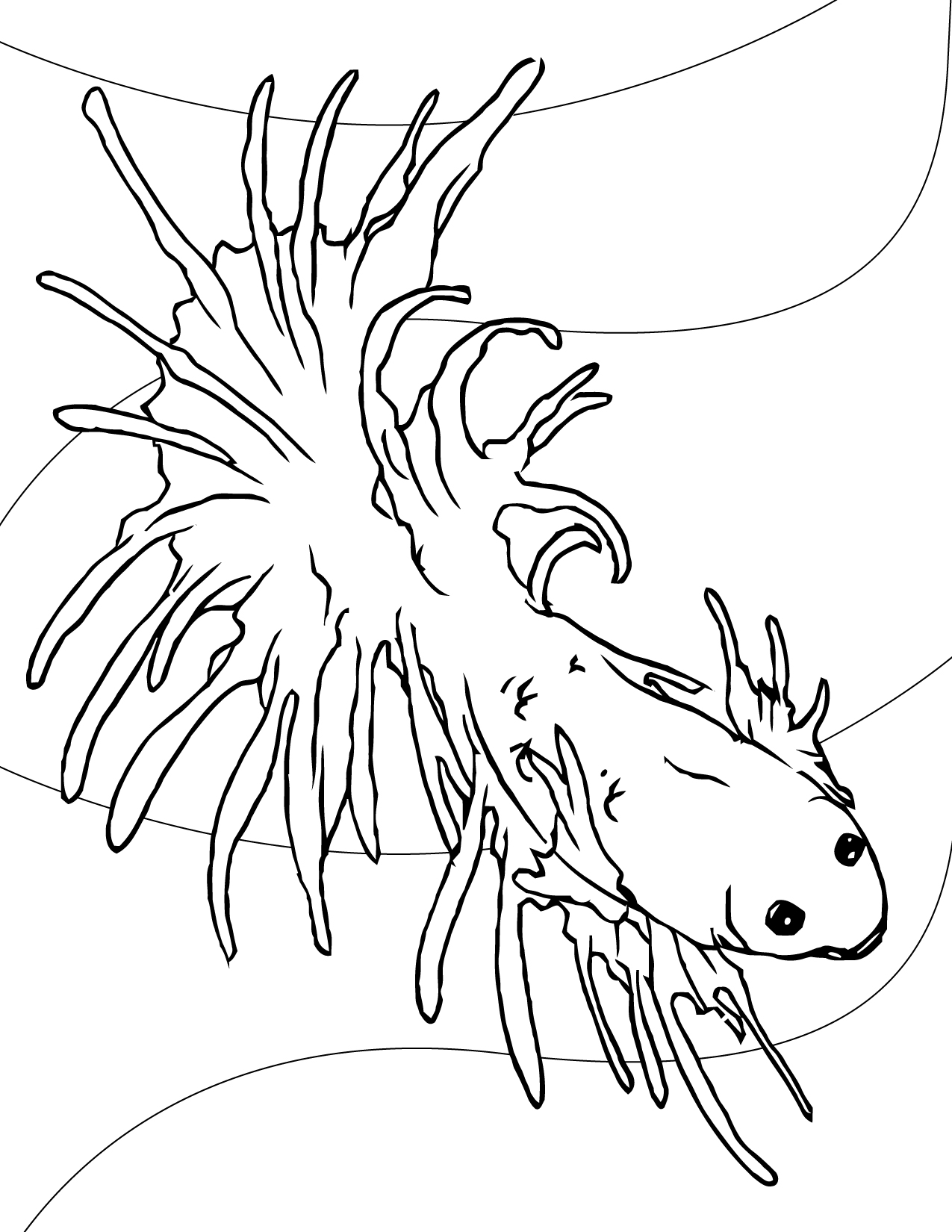 1275x1650 Bettas Coloring Page