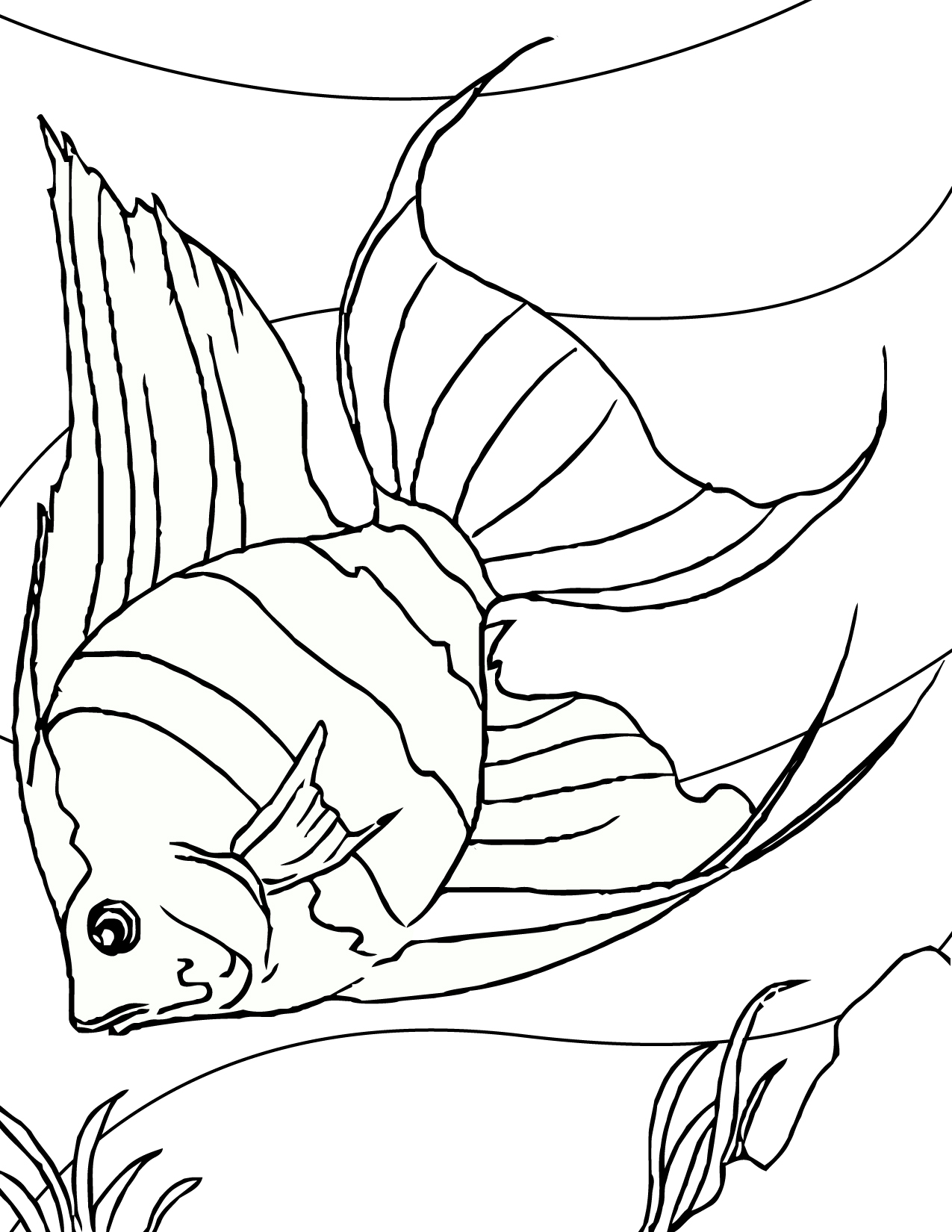 1275x1650 Free Printable Fish Coloring Pages For Kids