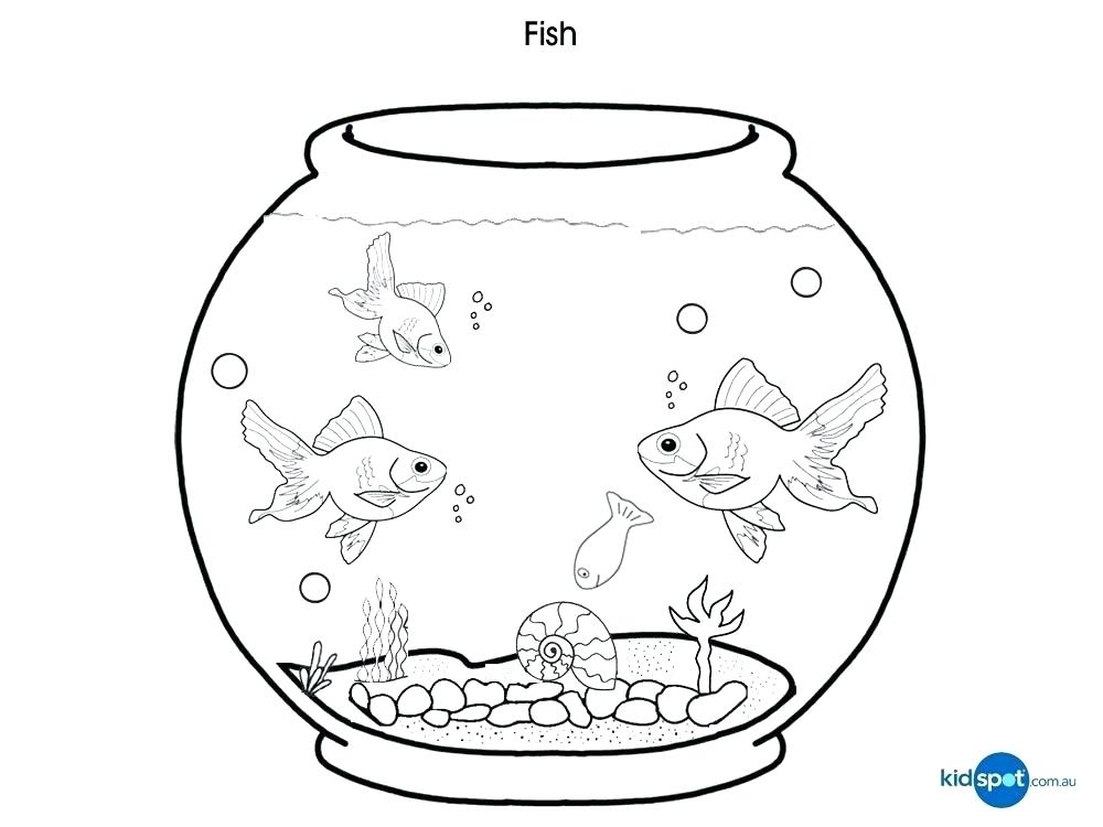 1000x750 Betta Fish Coloring Pages Pictures Of Fish To Color New Fish Tank
