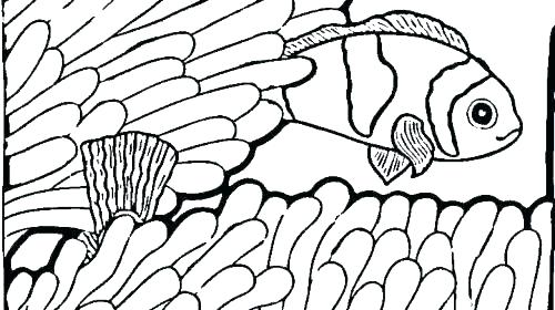 500x280 Printable Fish Coloring Pages Angel Fish Coloring Page Fish
