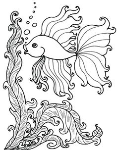 236x303 Betta Fish Wall Art