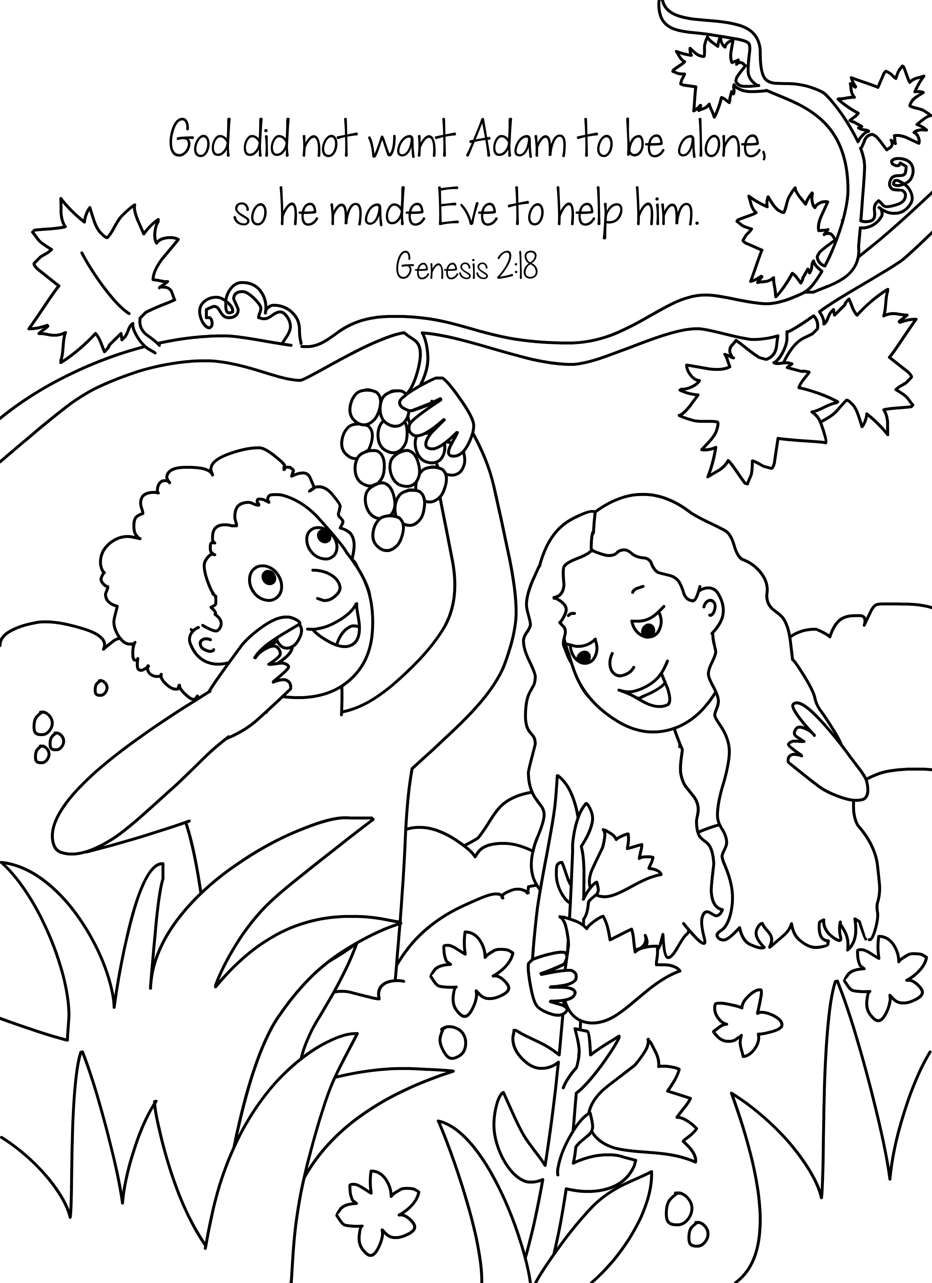 3028x4167 Free Bible Coloring Page Adam And Eve
