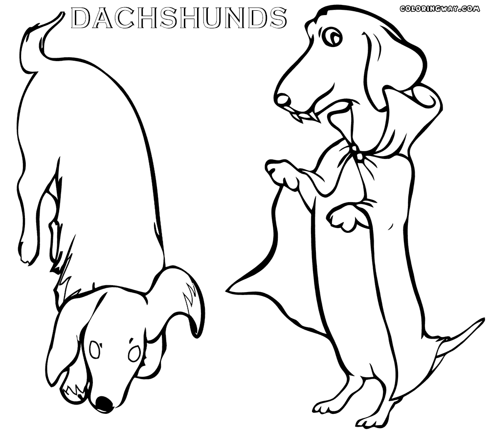 1000x883 Bichon Frise Rescue Dogs Bichon Frise Coloring Page Dog Dog
