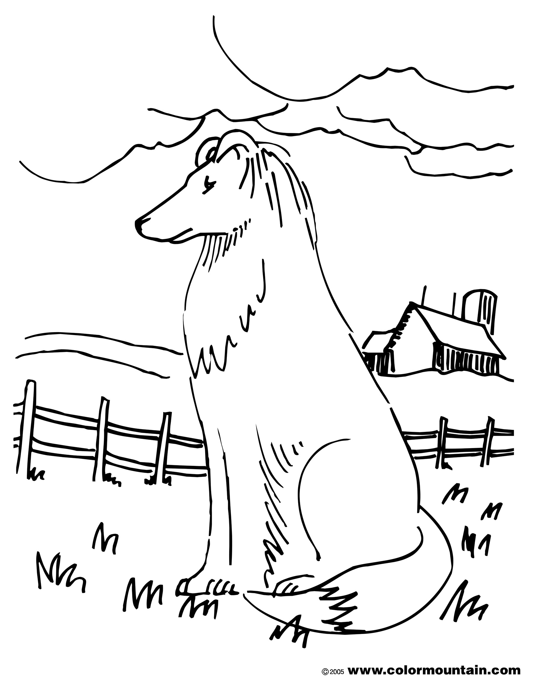 1800x2294 Collie Dog Coloring Pages