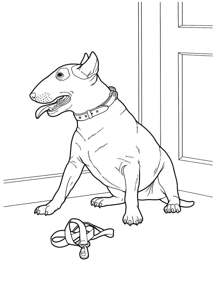 736x996 113 Best Favorite Dog Colouring Pages Images