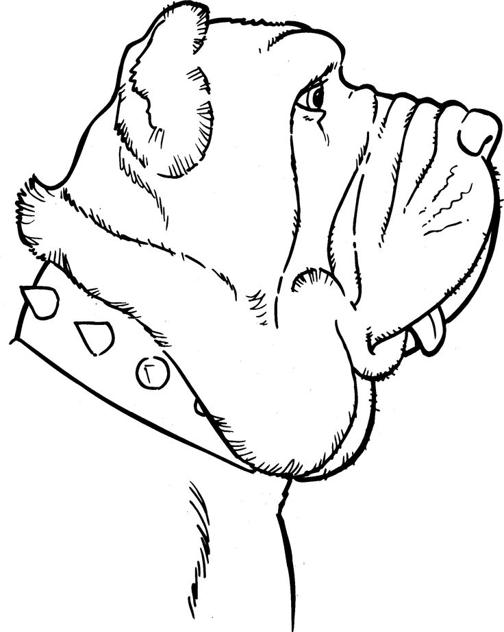 736x922 24 Best Dibujos De Perros Images On Dog Drawings, Dogs
