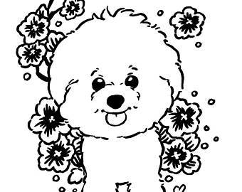340x270 Bichon Frise Coloring Pages
