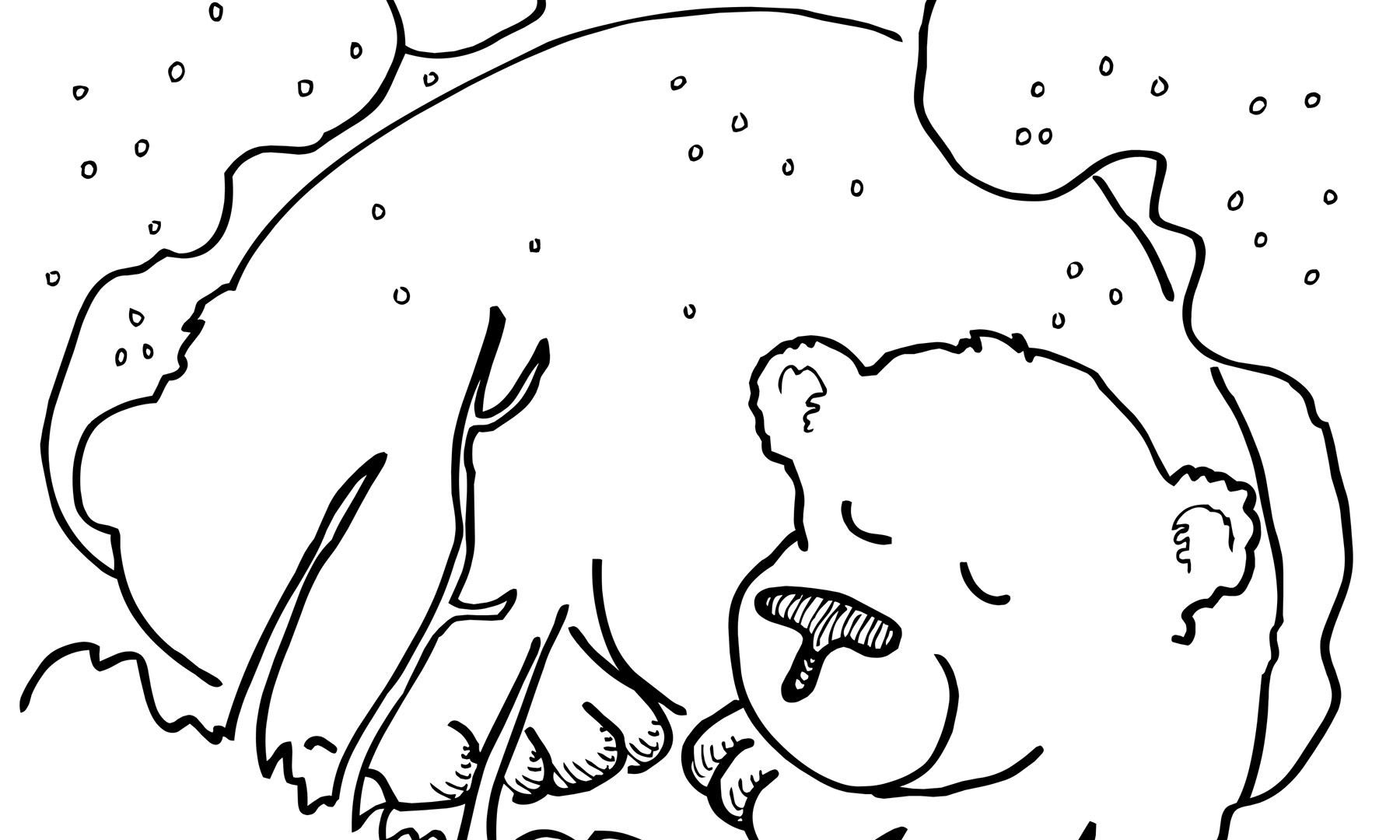 1800x1080 Little Brown Bear Coloring Pages Free Sheets How Best Big Images