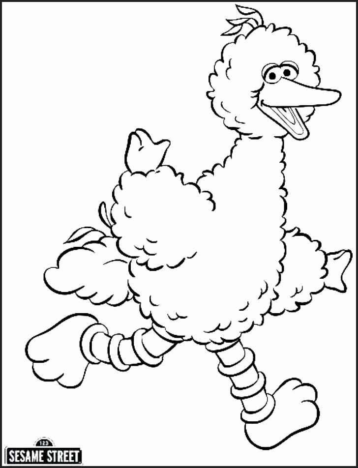 728x952 Big Bird Coloring Pages Printable Free Newcoloring123